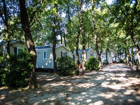 MOBILHOME 4 personnes - Mobilhome 4 personnes