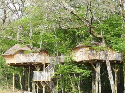 HÉBERGEMENT INSOLITE 4 personnes - Cabane dans les arbres (avec toilettes sèches, sans douche)