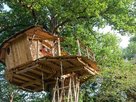 Hébergement 4 personnes - Cabane dans les arbres (avec toilettes sèches, sans douche)