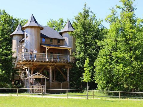 Hébergement 10 personnes - Château dans les branches