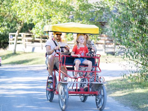 Camping DéfiPlanet' - Camping Vienne - Image N°16