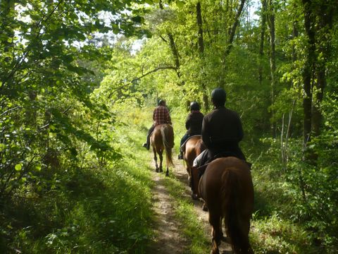Camping le Bourdieu - Camping Ariège - Image N°42