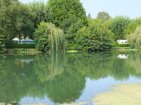 Camping Les portes de l'Anjou - Camping Maine-et-Loire - Image N°12