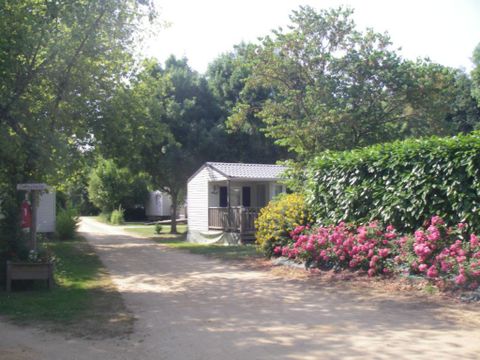 Camping Les portes de l'Anjou - Camping Maine-et-Loire - Image N°10