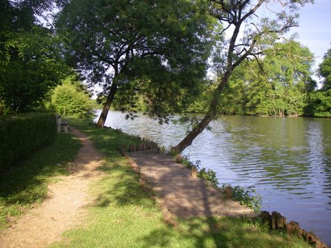 Camping Les portes de l'Anjou - Camping Maine-et-Loire - Image N°25