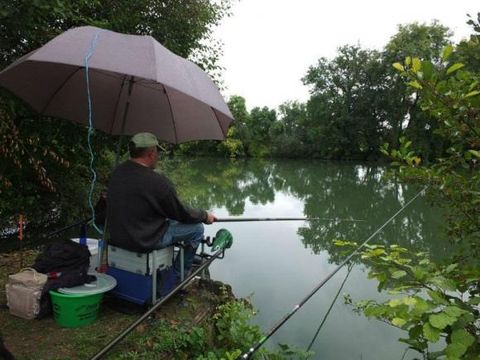 Camping Les portes de l'Anjou - Camping Maine-et-Loire - Image N°21