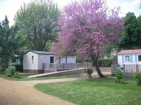 Camping Les portes de l'Anjou - Camping Maine-et-Loire - Image N°4