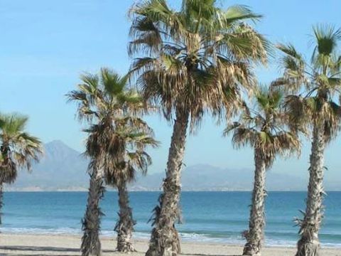Camping Costa Blanca - Camping Alicante - Image N°22