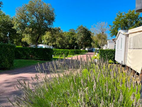 Camping Les Floralies - Camping Charente-Maritime - Image N°33