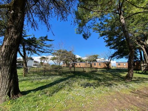 Camping Ostrea - Camping Charente-Maritime