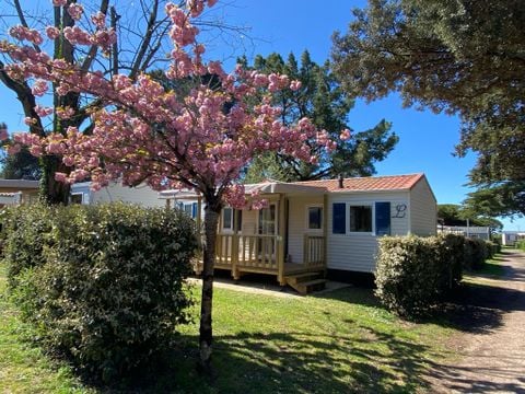 Camping Ostrea - Camping Charente-Maritime - Image N°5