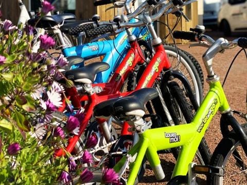 Camping Ostrea - Camping Charente-Maritime