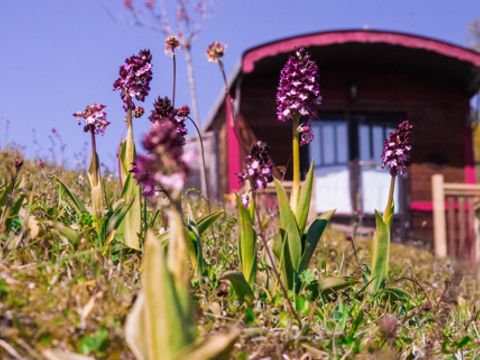 Hébergement 5 personnes - Roulotte Gîte 4/5 pers