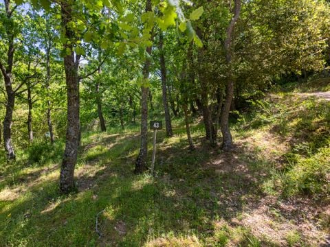 Emplacement - Forfait tente pour 2 personnes - Sans élec