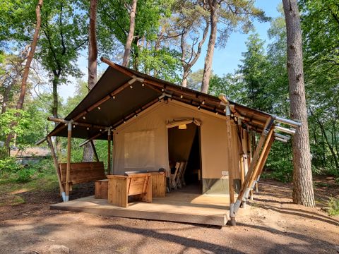 LODGE 5 personnes - Safari Lodge