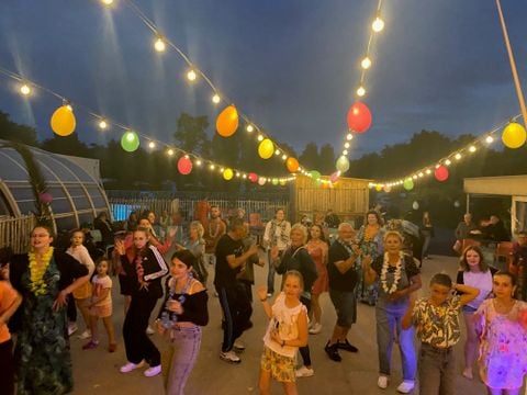 Camping Bellevue  - Camping Côtes-d'Armor - Image N°5