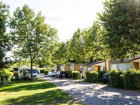 Camping La Grappe Fleurie - Camping Rhône - Image N°7
