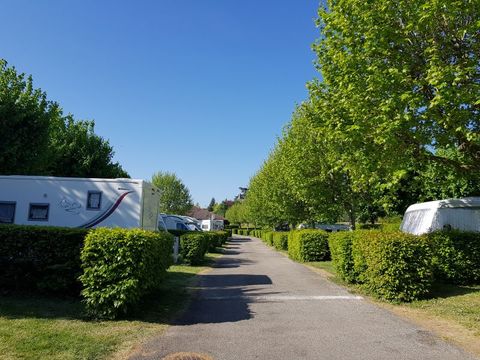 Camping La Grappe Fleurie - Camping Rhône - Image N°8