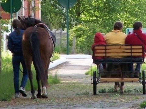 Camping La Minière - Camping Seine-Maritime