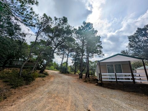 Camping Le Pinada - Camping Aude - Image N°27