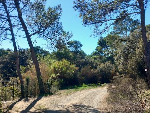 Camping Le Pinada - Camping Aude - Image N°12