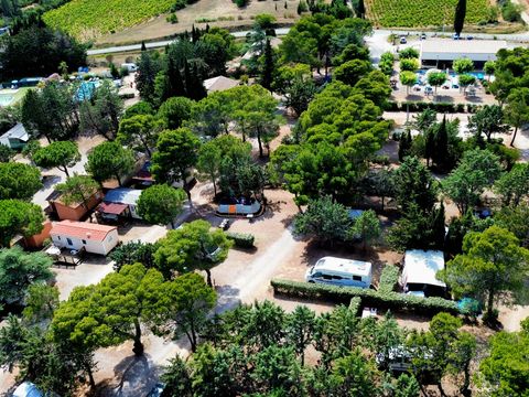 Camping Le Pinada - Camping Aude - Image N°10