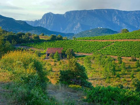 Camping Le Pinada - Camping Aude - Image N°28