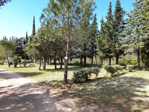 Camping Le Pinada - Camping Aude - Image N°26