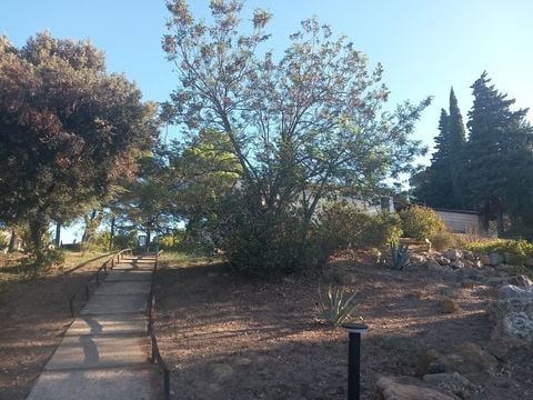 Camping Le Pinada - Camping Aude