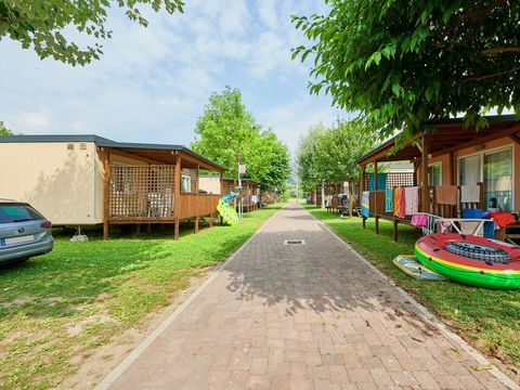 Camping Isolino Camping Isolino - Camping Verbano-Cusio-Ossola - Image N°33