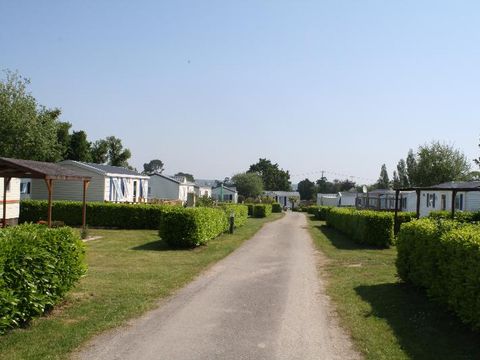 Camping Kerscolper  - Camping Finistere - Image N°21