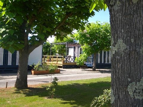 Camping Les Catalpas - Camping Lot-et-Garonne - Image N°33