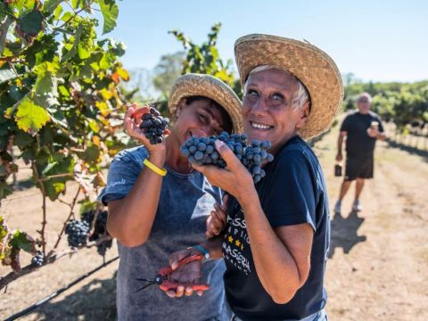 Camping La Masseria - Camping Lecce - Image N°52