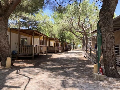 Camping La Masseria - Camping Lecce - Image N°44