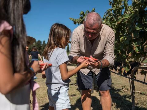 Camping La Masseria - Camping Lecce - Image N°53