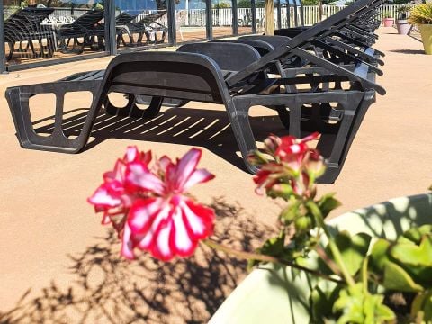 Camping maeva Escapades Kersentic - Camping Finistère - Image N°3