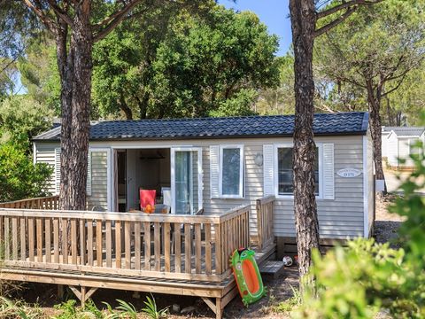 MOBILHOME 6 personnes - LUXE Family avec Spa
