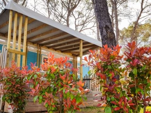 MOBILHOME 4 personnes - MIAMI