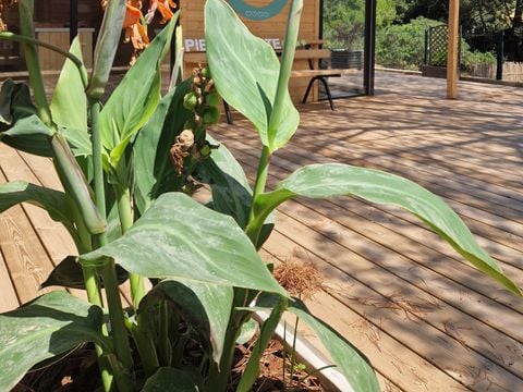 product_property.services