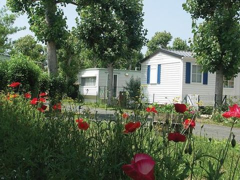 Camping Le Maine - Camping Charente-Maritime - Image N°9