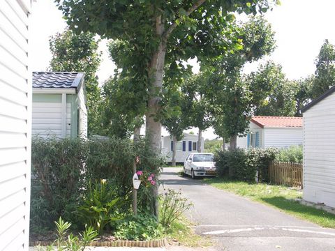 Camping Le Maine - Camping Charente-Maritime - Image N°10