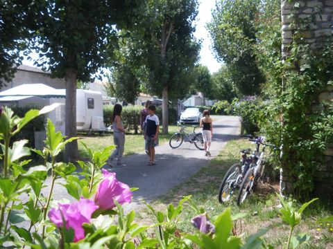Camping Le Maine - Camping Charente-Maritime - Image N°14