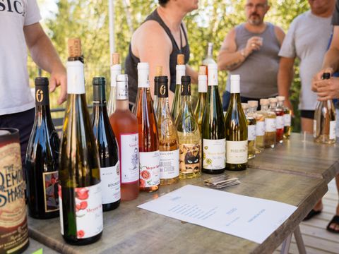 Flower Camping La Steniole - Camping Vosges - Image N°14