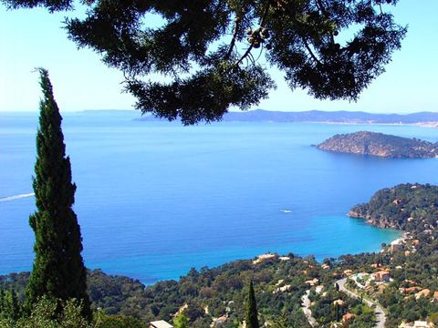 Camping L'Ile d'Or - Camping Var - Image N°13
