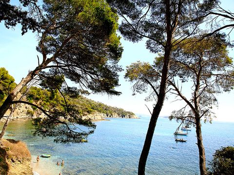 Camping L'Ile d'Or - Camping Var - Image N°15