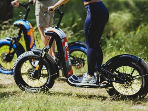 Camping des Familles - Camping Gironda