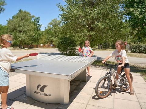 Camping Verdon Parc  - Camping Alpes-de-Haute-Provence - Image N°21