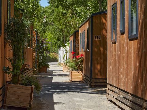Camping Verdon Parc  - Camping Alpes-de-Haute-Provence - Image N°14