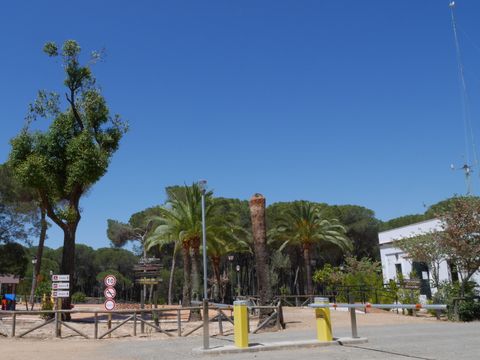 Camping Donarrayan Park  - Camping Huelva - Image N°13