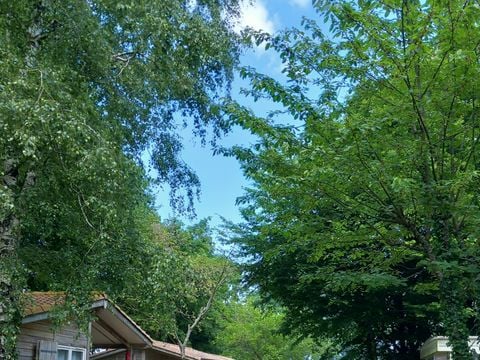 CHALET 5 personnes - LES FEES